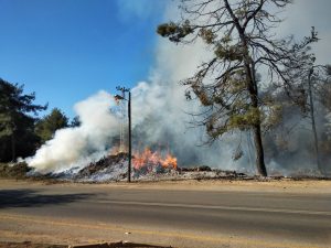 כפרניק WhatsApp-Image-2018-11-03-at-09.34.04-300x225 שריפה סמוך לגינה הקהילתית 