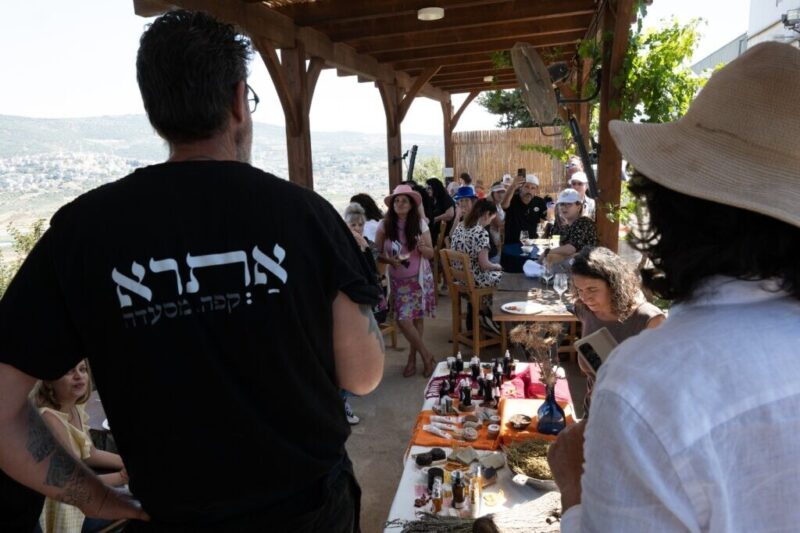 כפרניק 8c86ecc3-1ddd-4cfa-89e1-bea0ffba4bd6-scaled פסטיבל בא לי גליל 2025  