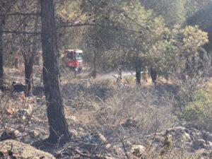 כפרניק IMG-20250717-WA0133-300x225 שריפות בגליל: תובל וכרמיאל  
