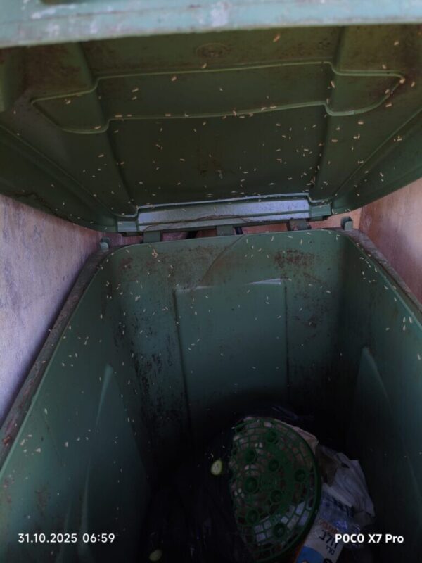 כפרניק WhatsApp-Image-2025-10-31-at-08.02.13-3-scaled איזה כפר יותר נקי: תבור או ורדים? כפרניק WhatsApp-Image-2025-10-31-at-08.02.13-3-scaled איזה כפר יותר נקי: תבור או ורדים?