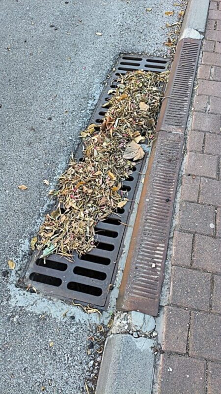 כפרניק WhatsApp-Image-2025-10-31-at-08.02.13-scaled איזה כפר יותר נקי: תבור או ורדים? כפרניק WhatsApp-Image-2025-10-31-at-08.02.13-scaled איזה כפר יותר נקי: תבור או ורדים?