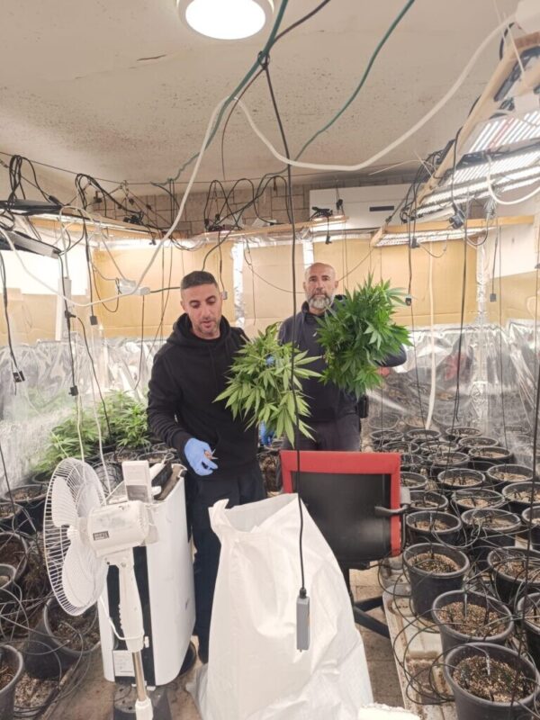 כפרניק WhatsApp-Image-2026-03-31-at-15.36.33-scaled מאתיים שתילי קנאביס במעלות כפרניק WhatsApp-Image-2026-03-31-at-15.36.33-scaled מאתיים שתילי קנאביס במעלות