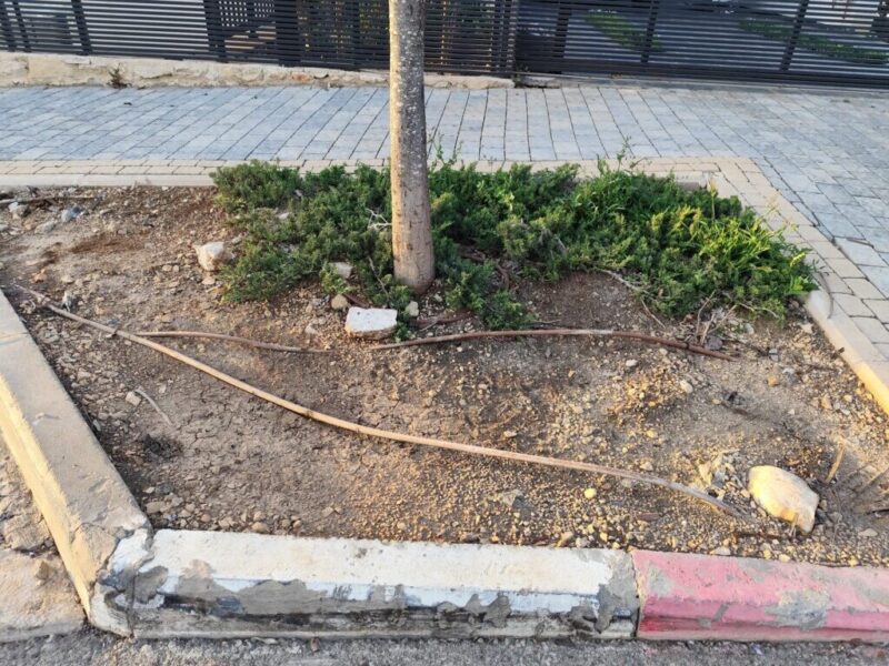 כפרניק WhatsApp-Image-2026-04-25-at-18.57.22-scaled מפגעים ברחוב אדיר  