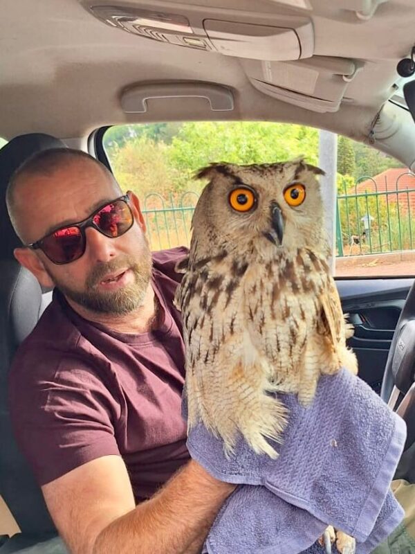 כפרניק WhatsApp-Image-2026-06-14-at-09.02.36-scaled מכפר ורדים בחיבולנס לסאפרי  
