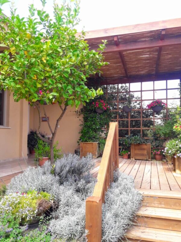 כפרניק WhatsApp-Image-2026-06-21-at-12.49.57-scaled נוף הדר ויקטור עמיר  