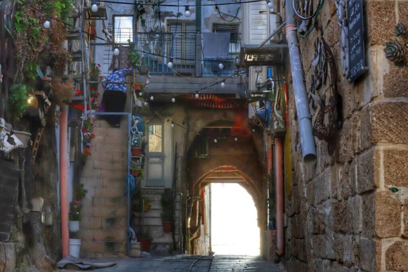 כפרניק WhatsApp-Image-2026-07-02-at-23.10.41-1-scaled מופע אור קולי במצודה הצלבנית בעכו כפרניק WhatsApp-Image-2026-07-02-at-23.10.41-1-scaled מופע אור קולי במצודה הצלבנית בעכו