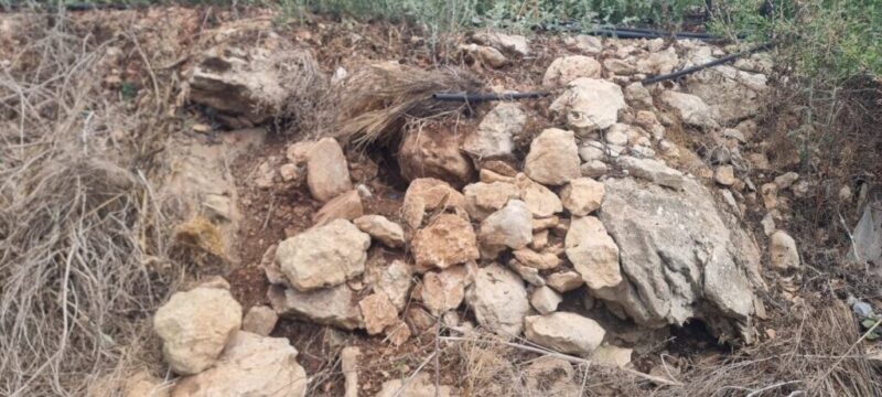 כפרניק WhatsApp-Image-2026-08-31-at-08.51.39-scaled מוסלקים ליד תפן: M16 ו-3 רימוני רסס  